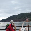 대구달성 함박산 용진산 및 옥연지(송해공원) 트레킹-2024.3.26 이미지