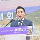 제27회 포천 산정호수 명성산 억새꽃 축제 이미지