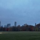 감자먹은 존슨 | 12월 2주차 + 뉴욕 여행 (상)