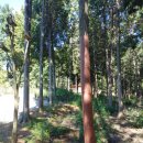 원한증막 이미지