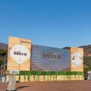 영남5길R | 2022 영남알프스 완등인의날 첫 행사 후기