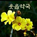 화요일 Daum카페