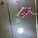 주현목욕탕 이미지