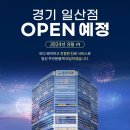 플란일산