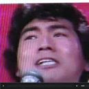 정1981