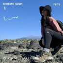 [제주 올레길 7코스] 완주 정보 총정리 (지도, 정류장, 주차, 날씨, 볼거리 top5, 소요시간)