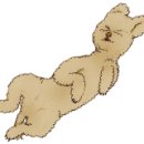 이소콘도 이미지