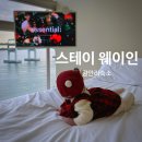 스테이웨이인 | [광안리숙소]아이와 첫여행 독채풀빌라 '스테이웨이인'