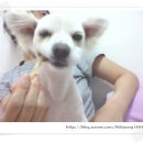 르미 - 김포시 양곡2로60번길 28-22 | 르미