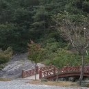 수인야영장 이미지