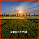 여명모텔 | 김제가볼만한곳 메타세콰이어길 드라이브 코스 아쉬움마저 감성으로 물들인 지평선 일몰 &amp; 황홀한 일출