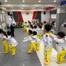 조아태권도 이미지