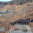보람농원 - 광양시 금영로 135-4 | 보람농원
