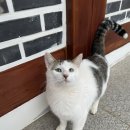 남당한옥 이미지