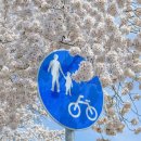 뉴센터공인중개사사무소 이미지