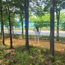 딜리버리키친 장안점 | 걷기 좋은 서울 동대문구 황톳길 산책 코스 내가 알려줌!