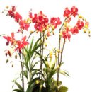 남구-112 이미지