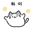 참살롱 이미지