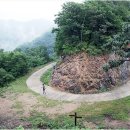 고종시마실길 이미지