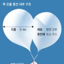 오물이