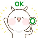 황금비앤채