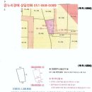 초장동14 네이버블로그