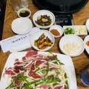 붕붕오리나라 이미지