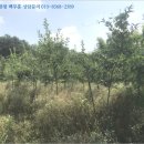 시묘보건진료소 이미지