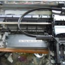 늘봄꽃화원 이미지