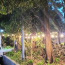 알지니포레스트 이미지