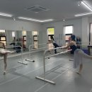 성인발레핏(야) 이미지