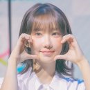마젠타 이미지