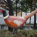 한전수안보연수원 이미지