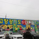 연안부두가성비횟집으로 핫했던 내고향강원도