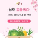 봄을담다