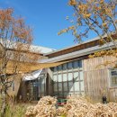 계룡산편백숲입구 이미지