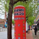 황금돼지식당 | 청주 부속구이 맛집 청주 운천동 황금돼지 부속구이 추천 후기