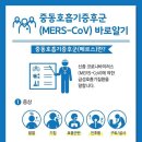 중동 호흡기 증후군 '메르스"바로알기 이미지