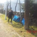 효돈동주민센터 이미지