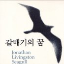 갈매기의 꿈 이미지
