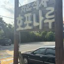 아랑동물병원 | [양산/호포] 경남 양산 닭볶음탕맛집 원탑 7년째 또간집 양산호포나루 내돈내산 솔직후기