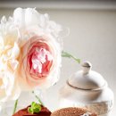 커피 바리스타 이미지