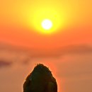 안면도농산 이미지