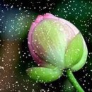 천연잔디구장 이미지