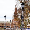 모로코, 스페인 여행 5 (2014.1.9 ~1.22) / 스페인 세비야, 황금의 탑과 스페인 광장 이미지