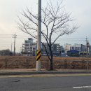 보라해링턴플레이스입구 삼거리 네이버블로그