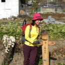 바람향기 이미지