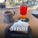 그레이 썬셋 | 부산 온천동 카페 파나카F 주차장 애견동반 아기랑 데이트 동래 숲뷰 추천