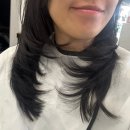 달발 | [선릉역 미용실] 빛나게헤어 선릉역점 가령 디자이너 레이어드컷 후기 / 강남 미용실, 역삼 미용실