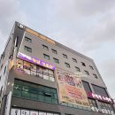 브라운도트 이미지